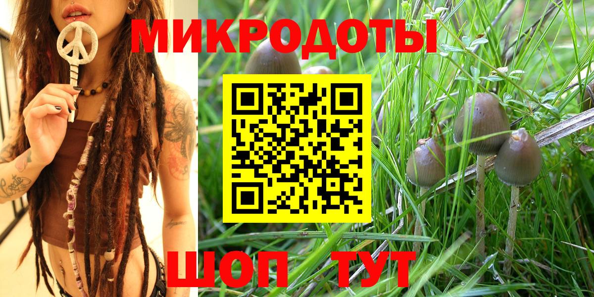 Галлюциногенные грибы прущие грибы  Псилоцибиновые грибы Psilocybine cubensis  Вход с VPN  Горно-Алтайск 
